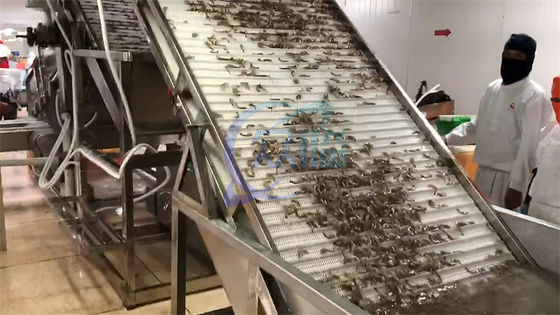 Seafood and shrimp processing equipment 304 stainless steel fish and shrimp specification selection machine