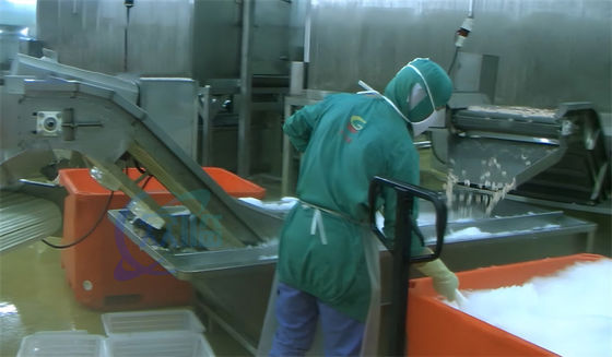 Seafood processing plant frozen fish and shrimp washing water cycle thawing machine Shrimp Processing Washing Machine