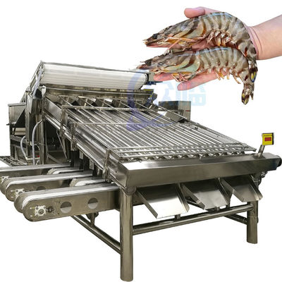 Goede prijs Efficiënte vissenverwerking en de grootte en de specificatieonderzoeksmachine van sorteermachinevissen online