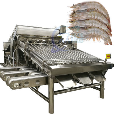 Automatische garnalen sorteermachine voor garnalen schillen vers garnalen wassen rollen sorteermachine garnalen grader