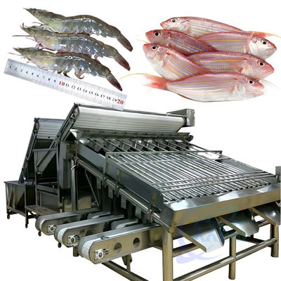 Automatische garnalen sorteermachine voor garnalen schillen vers garnalen wassen rollen sorteermachine garnalen grader