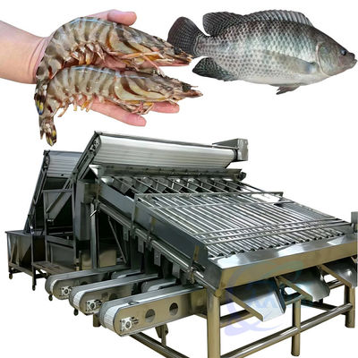 Automatische garnalen sorteermachine voor garnalen schillen vers garnalen wassen rollen sorteermachine garnalen grader