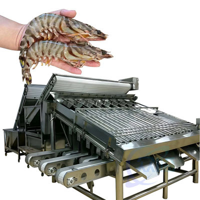 Goede prijs Klassificator voor de verwerking van zeevruchten en garnalen Automatische snelle vis Klassificator voor de grootte van garnalen Klassificator voor de productie van garnalen Screening machine online