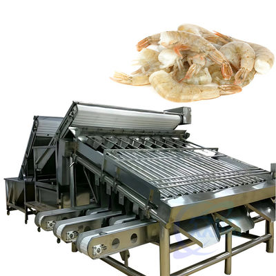 Machines voor het verwerken en sorteren van garnalen van roestvrij staal