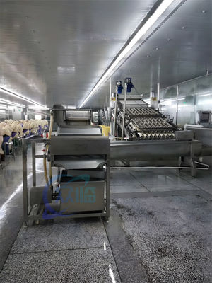 Efficiency Fresh Shrimp Peeling Shell Removing Processing Machine,Small Sized Shrimp Peelers
