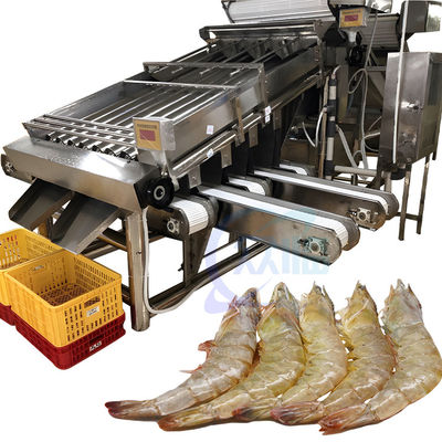 Machines voor het sorteren van vis en garnalen