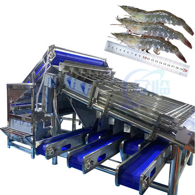 Schelpdieren sorteermachine garnalenreinigings- en sorteermachine, automatisch slijpen, schillen en ontdraaien van garnalenschelpen