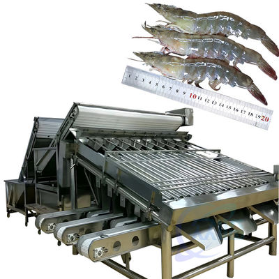 Verwerkingsmachine voor het sorteren van vis en garnalen, voor het sorteren van garnalen en vis, voor het sorteren van kreeften en kreeften