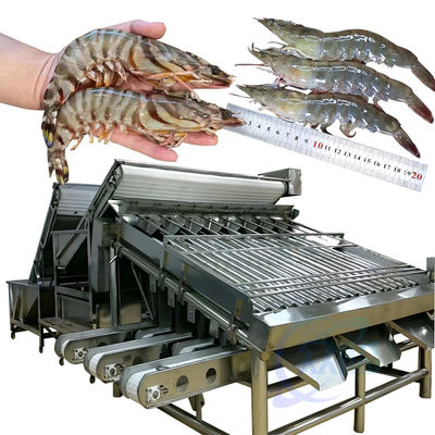 Goede prijs 304 roestvrij staal 18-rol vis sorteermachine vis grootte screening machine online