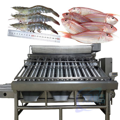 Goede prijs Automatische viscategoriseringsmachine sorteringsmachine visgrootte sorteringsmachine online