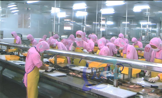 Shrimp And Fish Processing Machine Multi Person Processing Flow Platform
