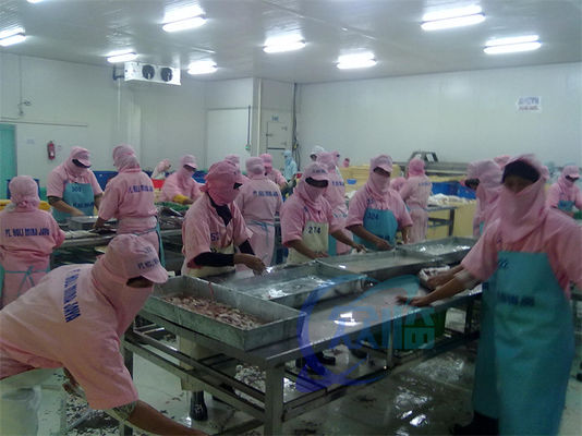 Shrimp And Fish Processing Machine Multi Person Processing Flow Platform