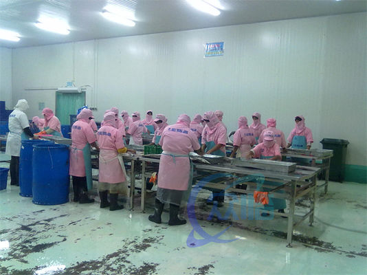 Shrimp And Fish Processing Machine Multi Person Processing Flow Platform