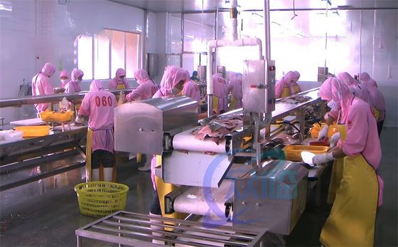 Stainless Steel 304 Fish Processing Line Assembly Line Platform Fish Deheading Production Line Table