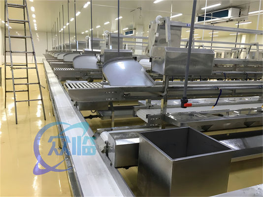 Goede prijs 1506kg Zeevruchten Productie Lijn Roestvrij staal Custom Workbench Fish And Shrimp Processing Line Transportband online