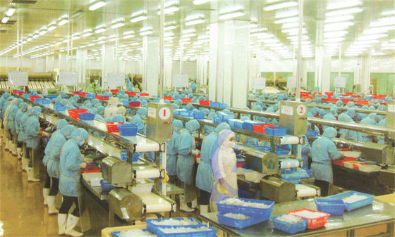 Goede prijs Aanpassing roestvrij staal frame Food Processing Assembly Line Belt Conveyor visverwerkende transportband online