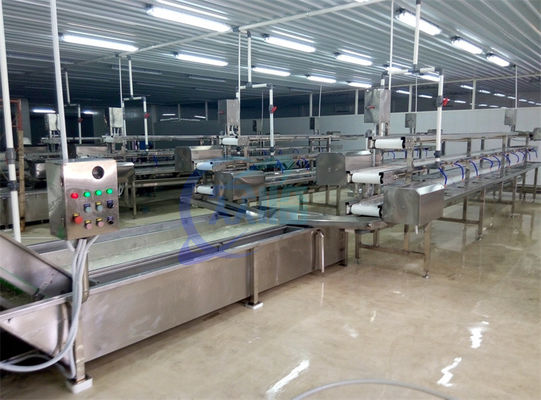 Goede prijs 2.22KW SS Wasmachine voor Fruit and Vegetable Processing Productie Lijn Salat kool Air Spray Wasmachine online