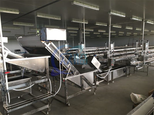 Goede prijs Volledig automatische bubbelreinigingsmachine garnalen Hoog efficiënte geïndustrialiseerde groenten- en fruitreinigingsmachine online