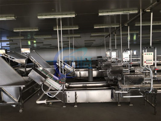 Automatische Zeevruchten Vis Hogedruk Bubble Wasmachine Garnalen Reinigingsmachine Dooi transportband