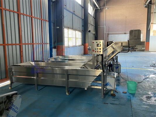 Goede prijs Automatische Zeevruchten Vis Hogedruk Bubble Wasmachine Garnalen Reinigingsmachine Dooi transportband online
