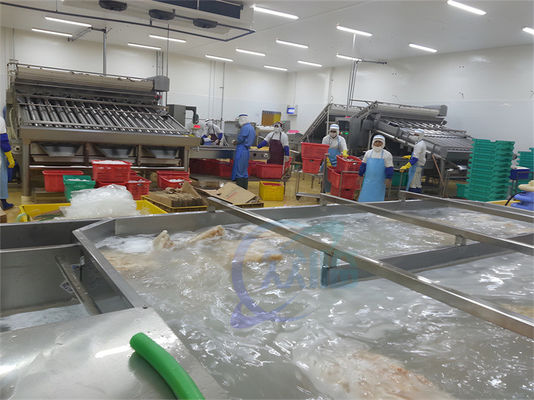 Seafood processing plant frozen fish and shrimp washing water cycle thawing machine Shrimp Processing Washing Machine