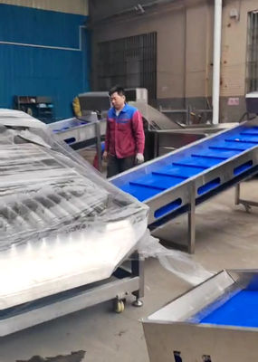 Goede prijs Grote capaciteit 5-10 ton/uur Pelagische viscategorisator voor automatische viscategorisatielijn online