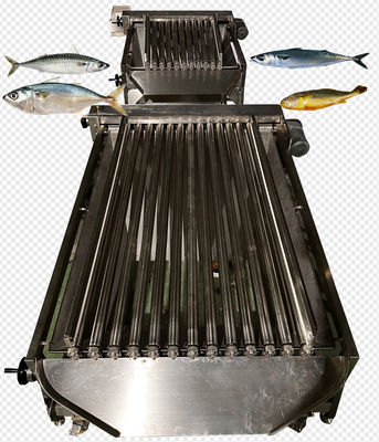 Vier stijlen Automatische mackerel ranglijstlijn en sorteermachine voor pelagische vissen