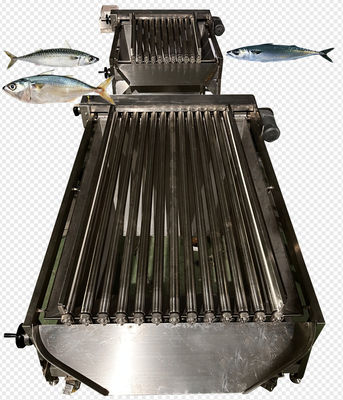 Goede prijs Vier stijlen Automatische visklasseermachine en mackerel-sorringsmachine online