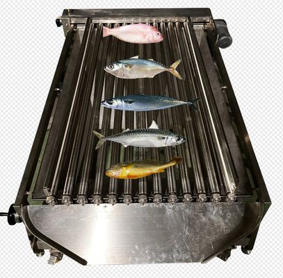 Automatische visgrootte-machine met hoge snelheid voor het indelen van vele soorten oceaanvissen