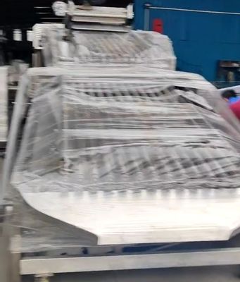 Gepersonaliseerde PLC-besturing viscategoriserende apparatuur voor het sorteren van kleine vissen met automatische