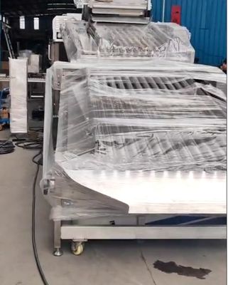 Vier modellen Automatische vis maatmachine en Soring Yellow Croaker hoog stabiel