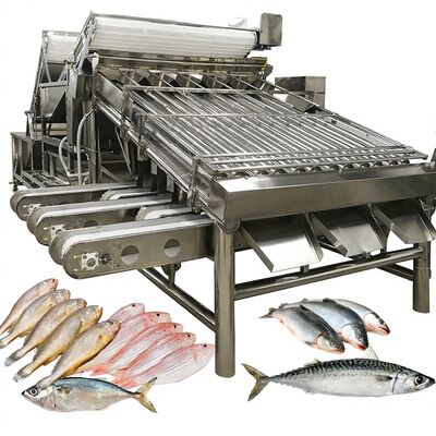 Goede prijs High Speed Zolim Automatic Saury Sorting Machine Roller Grader 1 Persoon Operator Kleine vis Zeevruchten Sizing Equipment online