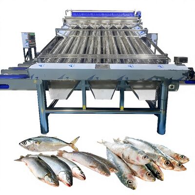 Goede prijs 18pcs Roller SS304 Kleine vis sorteermachine Kleine vis rangschikkingslijn Vissen maatmachine Vissen roller rangschikker online