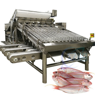 Goede prijs Machine voor het sorteren van vis met een hoge capaciteit Visselrollergrader 4.9KW 2 T/H Zeevisselgrader Vissel sorteren Lijn Zolim Visselgrader online