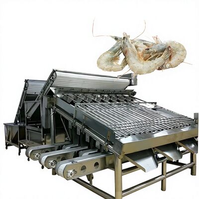 Goede prijs SUS304 Praktische garnalen sorteermachine, anti-corrosie garnalen rangschikker hoge capaciteit garnalen maatmachine garnalen rangschikker online