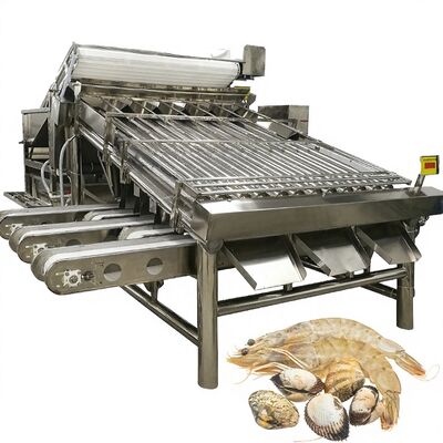Goede prijs Roestvrij staal garnalen sorteerapparatuur Stabiel anti-erosie 4,9 kW garnalen maatmachine voor garnalen plant Automatische garnalen rangschikker online