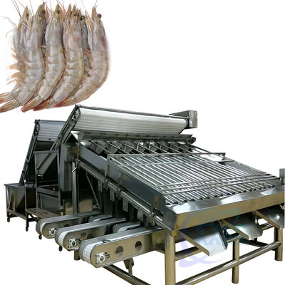 Goede prijs Zolim 4,9 kW automatische garnalensorteer- en sorteermachine 380 V 1000-2000 kg/u capaciteit anti-erosie rolgrader online