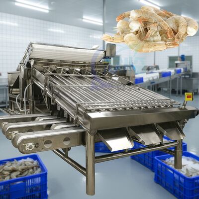 Goede prijs Industriële garnalen sorteermachine voor garnalenverwerking Waterdichte garnalen rangschikmachine Automatische garnalen maatmachine online