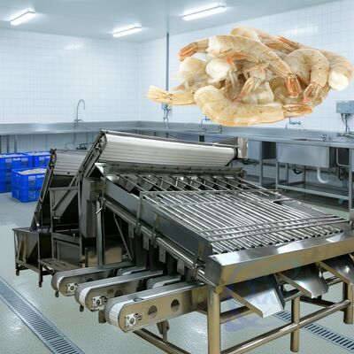 Goede prijs Duurzame rolluik garnalen rangschikkingsmachine 1500kg-2000kg/h rolluik garnalen sorter hoge stabiele rolluik garnalen maatmachine voor vis online