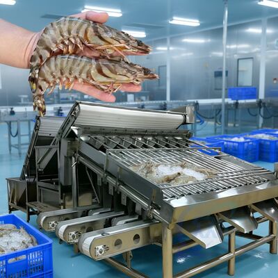 Goede prijs Goedkope garnalenroller-sortmachine multifunctie garnalen sorter Duurzame garnalenroller-sortmachine warm verkoop garnalengrader online