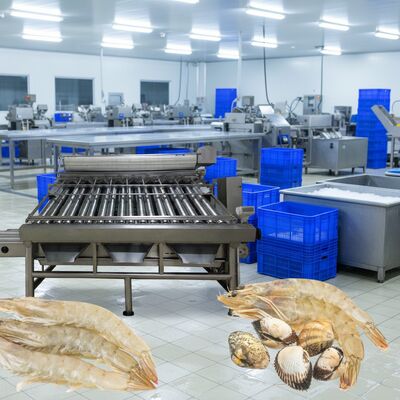 Goede prijs Garnalensorteermachine van roestvrij staal 4,9kw Garnalensorteermachine voor de verwerking van zeevruchten Zolim Garnalensorteermachine Garnaal online