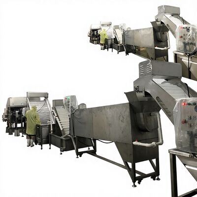 Goede prijs Zolim Automatic Shrimp Dehead Line Removal Machine & Head Removing System 10.8KW 380V voor de productielijn voor de verwerking van garnalen online