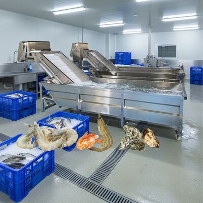 Goede prijs Zolim Bubble-wasmachine voor zeevruchten 2,2 kW visreinigingsmachine Slimme garnalenwasmachine voor zeevruchtenverwerkingsfabriek online