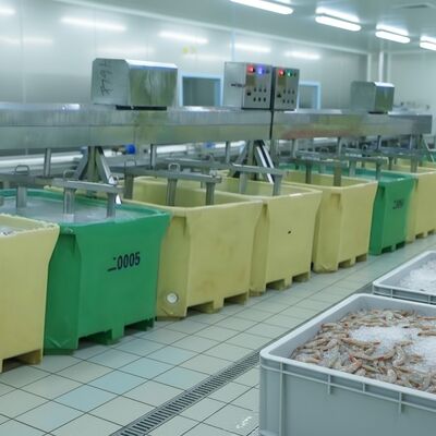 Goede prijs Zeevruchtenmixer voor visverwerking Beste weekmachine voor vis Zolim Garnalenblender voor visverwerkingsfabrieken online