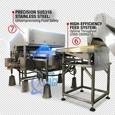 Goede prijs Rugged Shrimp Head Separator SUS304 Stainless Steel 800-1000KG 15KW 440V For Shrimp Processing Plant online
