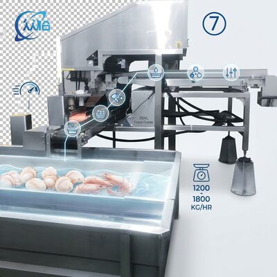 Goede prijs High Output Shrimp Processing Machine Hygienic SUS304 500-800KG 0.8KW 220V For Seafood Export Company online