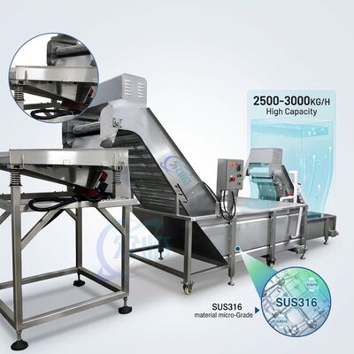 Goede prijs Multiscene Garnalen Ontkop- en Sorteermachine SUS304 Roestvrij Staal 1500-2000KG 3.0KW 380V online