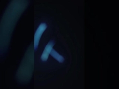 Nieuwe design garnalen reklijn, Tempura verwerkingslijn, NOBASHI verwerking